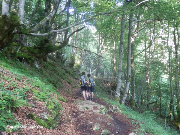 3.1-bosc-de-fouillet